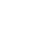 Theismann's